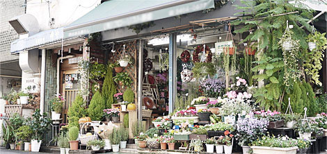 北京顺义北郎中村鲜花店_鲜花保鲜库